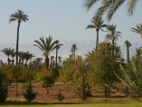 SOLD 3 Hectares Land Plot | Marrakech Palmeraie - Bab Atlas
