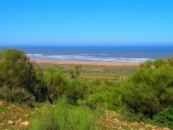 Beachfront land for sale - 10 hectares split in individual plots - near Essaouira