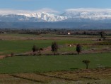 Terrain morcelle de 4Ha Titre | km 22 sur route de Fez