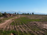 SOLD 2 ha Plot of Land | Titled | Rte d'Amezmiz Cherifia km9