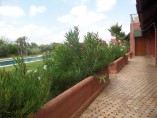 Duplex apartment | 3 Bed | 2 Lounge | 3Bath | Pool | 15.000-Dh/month