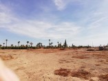 Terrain 9130m2 | Titre | Bab Atlas | Marrakech | 3.400.000-Dhs