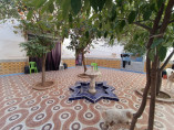 RIAD TO RENOVATE: 320m2 footprint | Douar Graoua area